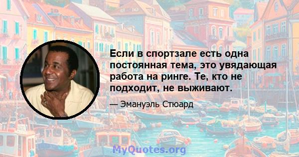 Если в спортзале есть одна постоянная тема, это увядающая работа на ринге. Те, кто не подходит, не выживают.