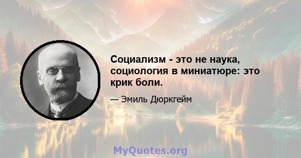 Социализм - это не наука, социология в миниатюре: это крик боли.