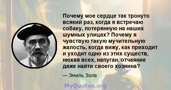 Почему мое сердце так тронуто всякий раз, когда я встречаю собаку, потерянную на наших шумных улицах? Почему я чувствую такую ​​мучительную жалость, когда вижу, как приходит и уходит одно из этих существ, нюхая всех,