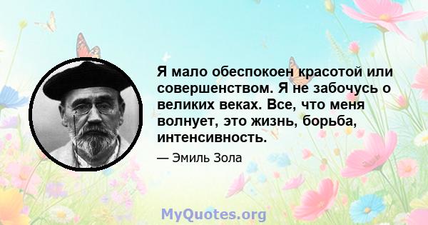 Я мало обеспокоен красотой или совершенством. Я не забочусь о великих веках. Все, что меня волнует, это жизнь, борьба, интенсивность.