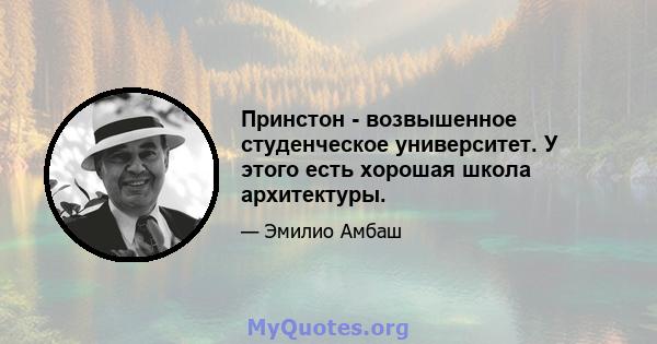 Принстон - возвышенное студенческое университет. У этого есть хорошая школа архитектуры.