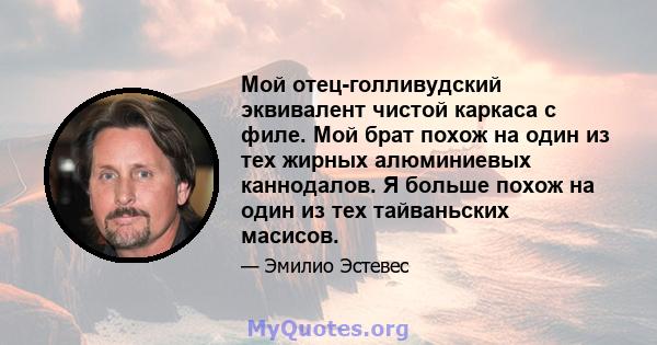 Мой отец-голливудский эквивалент чистой каркаса с филе. Мой брат похож на один из тех жирных алюминиевых каннодалов. Я больше похож на один из тех тайваньских масисов.