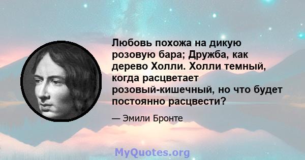 Любовь похожа на дикую розовую бара; Дружба, как дерево Холли. Холли темный, когда расцветает розовый-кишечный, но что будет постоянно расцвести?