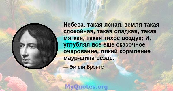 Небеса, такая ясная, земля такая спокойная, такая сладкая, такая мягкая, такая тихое воздух; И, углубляя все еще сказочное очарование, дикий кормление маур-шипа везде.