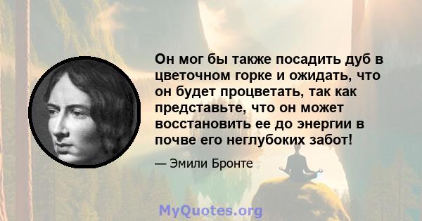 Он мог бы также посадить дуб в цветочном горке и ожидать, что он будет процветать, так как представьте, что он может восстановить ее до энергии в почве его неглубоких забот!