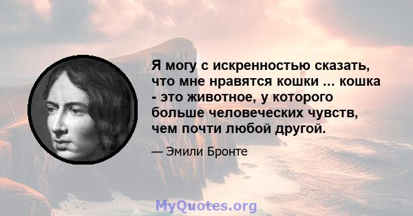 Я могу с искренностью сказать, что мне нравятся кошки ... кошка - это животное, у которого больше человеческих чувств, чем почти любой другой.