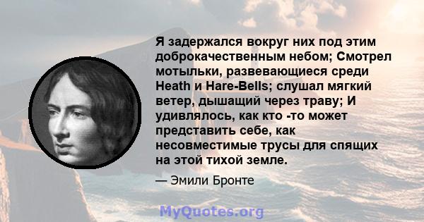 Я задержался вокруг них под этим доброкачественным небом; Смотрел мотыльки, развевающиеся среди Heath и Hare-Bells; слушал мягкий ветер, дышащий через траву; И удивлялось, как кто -то может представить себе, как