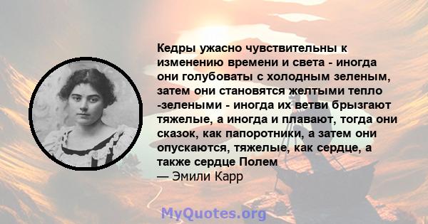 Кедры ужасно чувствительны к изменению времени и света - иногда они голубоваты с холодным зеленым, затем они становятся желтыми тепло -зелеными - иногда их ветви брызгают тяжелые, а иногда и плавают, тогда они сказок,