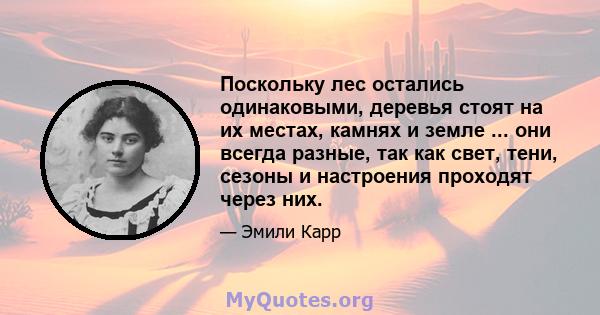 Поскольку лес остались одинаковыми, деревья стоят на их местах, камнях и земле ... они всегда разные, так как свет, тени, сезоны и настроения проходят через них.