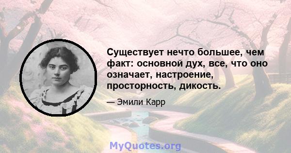 Существует нечто большее, чем факт: основной дух, все, что оно означает, настроение, просторность, дикость.