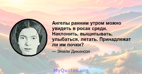 Ангелы ранним утром можно увидеть в росах среди. Наклонить, выщипывать, улыбаться, летать. Принадлежат ли им почки?