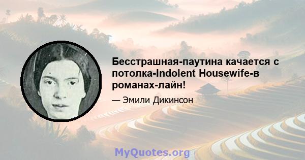 Бесстрашная-паутина качается с потолка-Indolent Housewife-в романах-лайн!