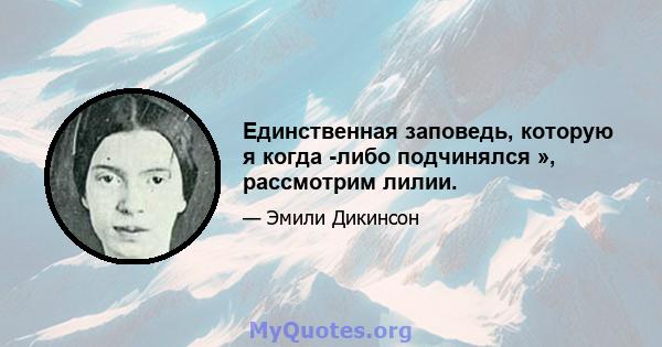 Единственная заповедь, которую я когда -либо подчинялся », рассмотрим лилии.