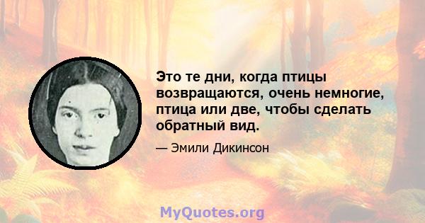 Это те дни, когда птицы возвращаются, очень немногие, птица или две, чтобы сделать обратный вид.