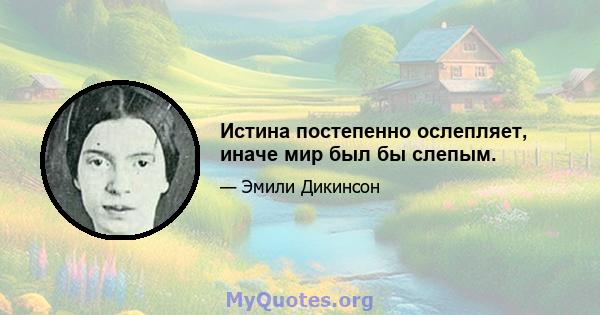 Истина постепенно ослепляет, иначе мир был бы слепым.