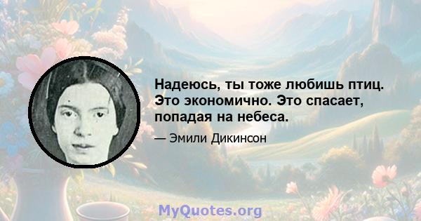 Надеюсь, ты тоже любишь птиц. Это экономично. Это спасает, попадая на небеса.