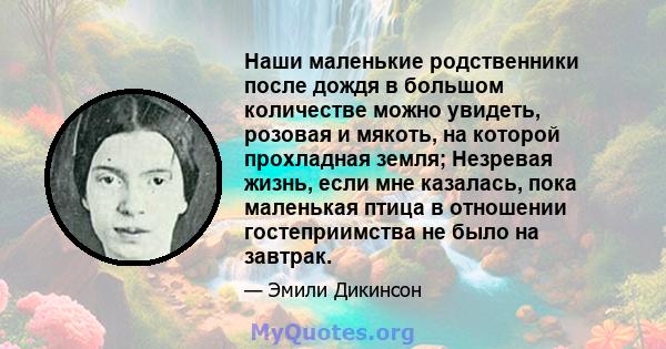 Наши маленькие родственники после дождя в большом количестве можно увидеть, розовая и мякоть, на которой прохладная земля; Незревая жизнь, если мне казалась, пока маленькая птица в отношении гостеприимства не было на