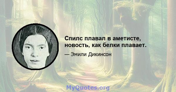 Спилс плавал в аметисте, новость, как белки плавает.