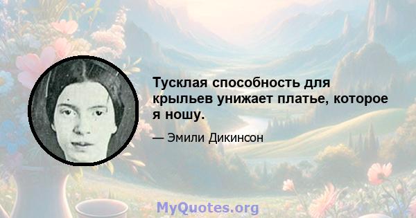 Тусклая способность для крыльев унижает платье, которое я ношу.