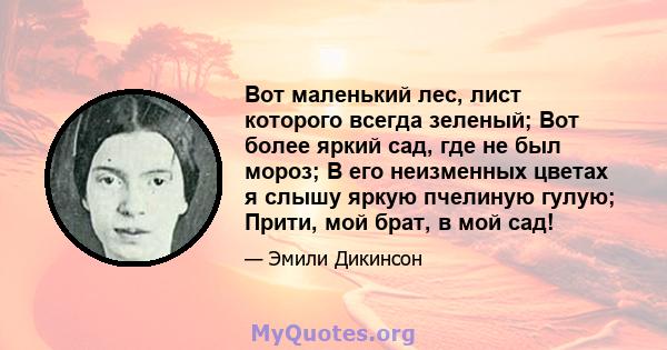 Вот маленький лес, лист которого всегда зеленый; Вот более яркий сад, где не был мороз; В его неизменных цветах я слышу яркую пчелиную гулую; Прити, мой брат, в мой сад!