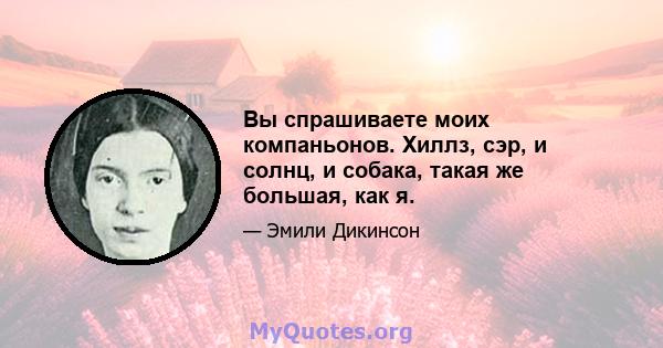 Вы спрашиваете моих компаньонов. Хиллз, сэр, и солнц, и собака, такая же большая, как я.