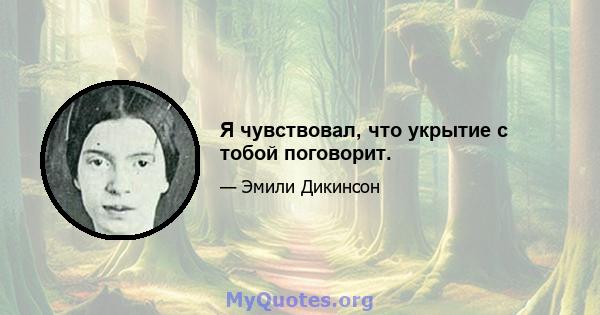 Я чувствовал, что укрытие с тобой поговорит.