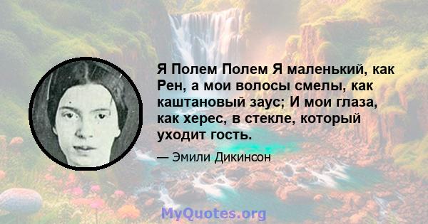 Я Полем Полем Я маленький, как Рен, а мои волосы смелы, как каштановый заус; И мои глаза, как херес, в стекле, который уходит гость.