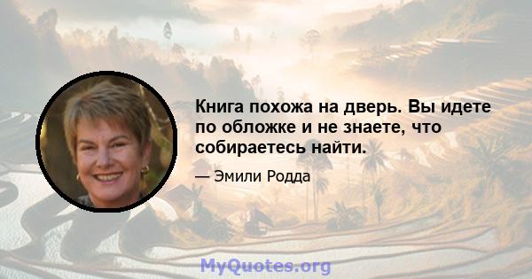 Книга похожа на дверь. Вы идете по обложке и не знаете, что собираетесь найти.