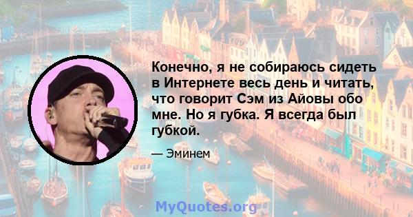 Конечно, я не собираюсь сидеть в Интернете весь день и читать, что говорит Сэм из Айовы обо мне. Но я губка. Я всегда был губкой.