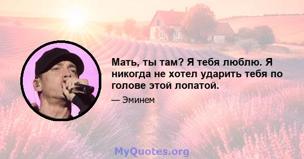 Мать, ты там? Я тебя люблю. Я никогда не хотел ударить тебя по голове этой лопатой.