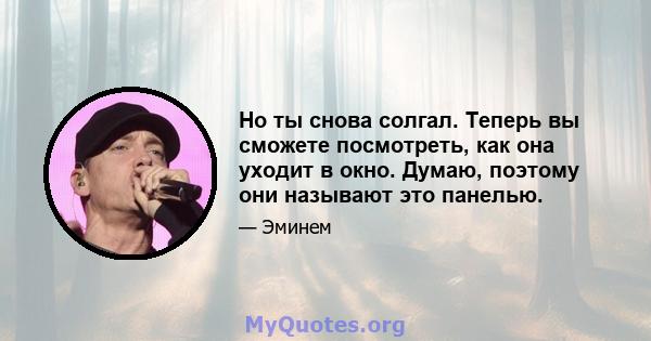 Но ты снова солгал. Теперь вы сможете посмотреть, как она уходит в окно. Думаю, поэтому они называют это панелью.