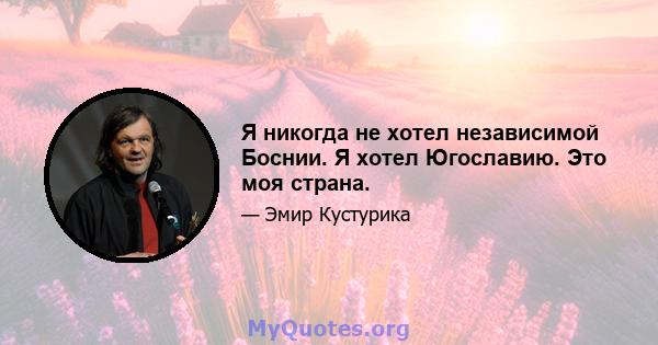 Я никогда не хотел независимой Боснии. Я хотел Югославию. Это моя страна.