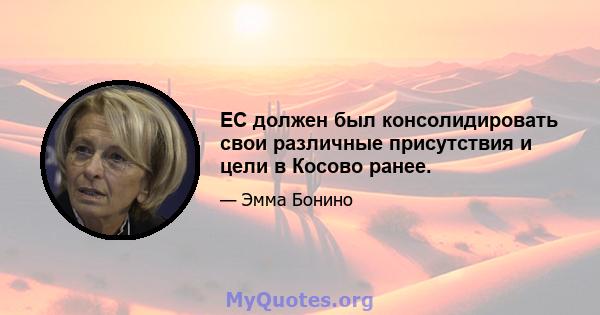 ЕС должен был консолидировать свои различные присутствия и цели в Косово ранее.