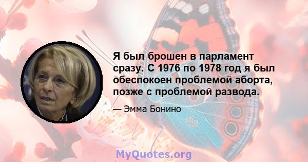 Я был брошен в парламент сразу. С 1976 по 1978 год я был обеспокоен проблемой аборта, позже с проблемой развода.