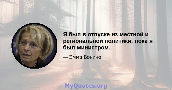 Я был в отпуске из местной и региональной политики, пока я был министром.