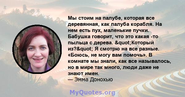 Мы стоим на палубе, которая все деревянная, как палуба корабля. На нем есть пух, маленькие пучки. Бабушка говорит, что это какая -то пыльца с дерева. "Который из?" Я смотрю на все разные. «Боюсь, не могу вам