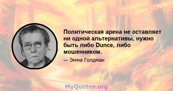 Политическая арена не оставляет ни одной альтернативы, нужно быть либо Dunce, либо мошенником.