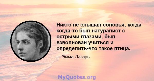 Никто не слышал соловья, когда когда-то был натуралист с острыми глазами, был взволнован учиться и определить-что такое птица.