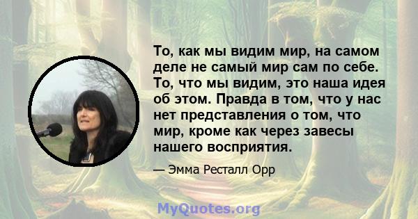 То, как мы видим мир, на самом деле не самый мир сам по себе. То, что мы видим, это наша идея об этом. Правда в том, что у нас нет представления о том, что мир, кроме как через завесы нашего восприятия.