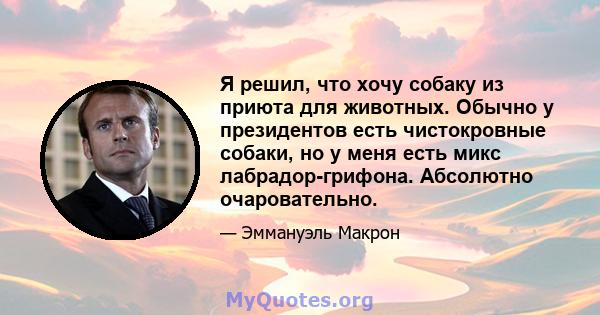 Я решил, что хочу собаку из приюта для животных. Обычно у президентов есть чистокровные собаки, но у меня есть микс лабрадор-грифона. Абсолютно очаровательно.