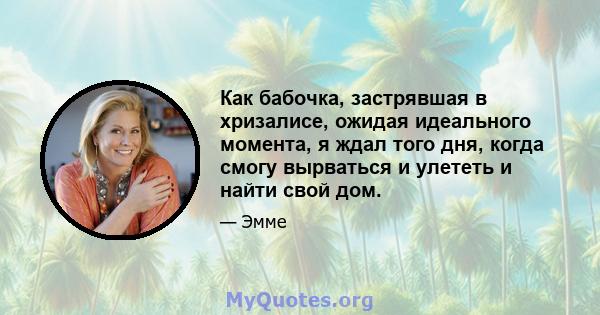 Как бабочка, застрявшая в хризалисе, ожидая идеального момента, я ждал того дня, когда смогу вырваться и улететь и найти свой дом.