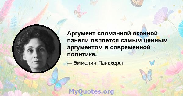 Аргумент сломанной оконной панели является самым ценным аргументом в современной политике.