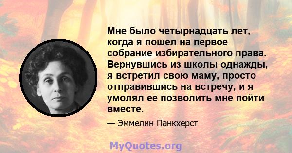 Мне было четырнадцать лет, когда я пошел на первое собрание избирательного права. Вернувшись из школы однажды, я встретил свою маму, просто отправившись на встречу, и я умолял ее позволить мне пойти вместе.