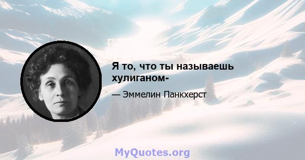 Я то, что ты называешь хулиганом-