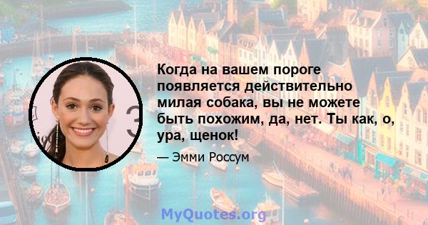 Когда на вашем пороге появляется действительно милая собака, вы не можете быть похожим, да, нет. Ты как, о, ура, щенок!