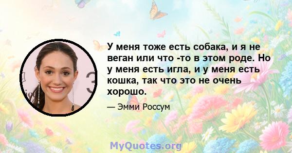 У меня тоже есть собака, и я не веган или что -то в этом роде. Но у меня есть игла, и у меня есть кошка, так что это не очень хорошо.