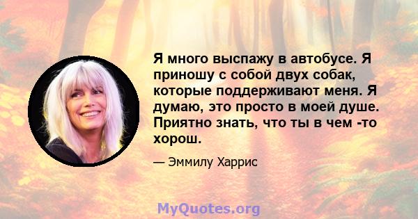 Я много выспажу в автобусе. Я приношу с собой двух собак, которые поддерживают меня. Я думаю, это просто в моей душе. Приятно знать, что ты в чем -то хорош.