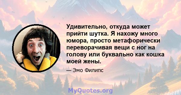 Удивительно, откуда может прийти шутка. Я нахожу много юмора, просто метафорически переворачивая вещи с ног на голову или буквально как кошка моей жены.