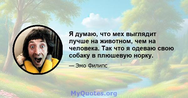 Я думаю, что мех выглядит лучше на животном, чем на человека. Так что я одеваю свою собаку в плюшевую норку.