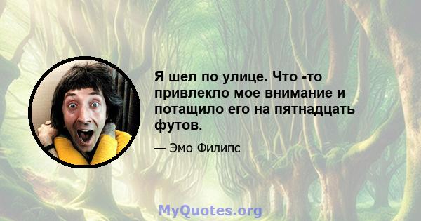 Я шел по улице. Что -то привлекло мое внимание и потащило его на пятнадцать футов.